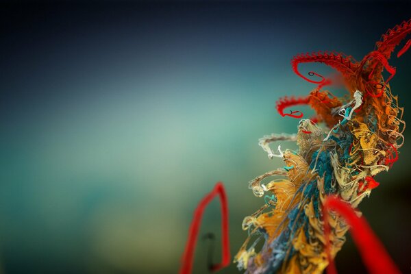 A colored plant on a dark background