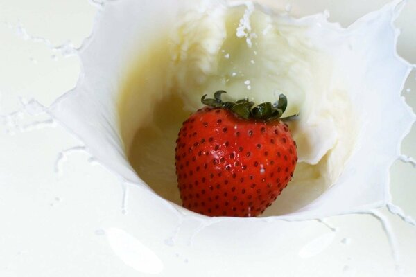 Red strawberries dropped into milk