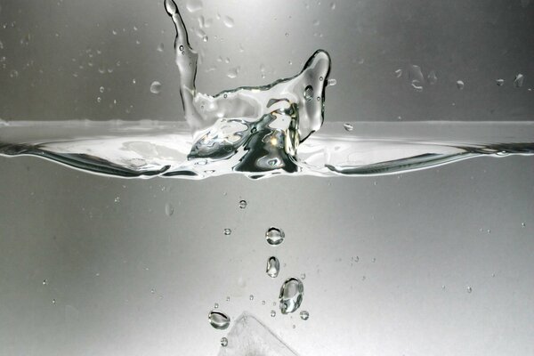 El hielo cayó al agua. Macrofotografía