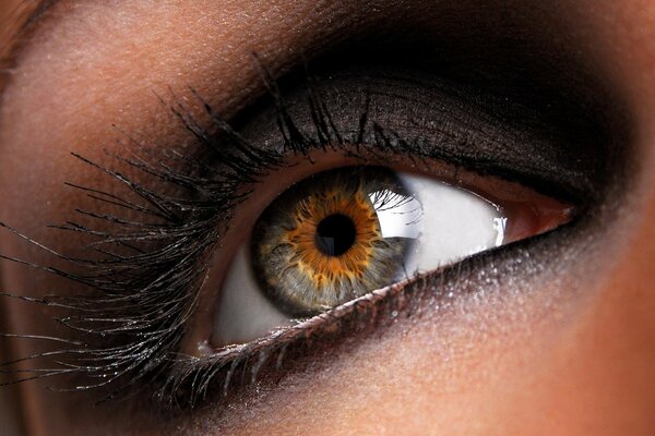 Macro photo of a painted square-gray eye