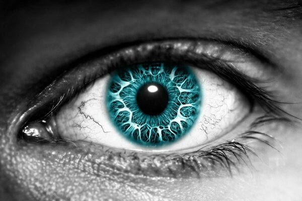 Czarno-białe zdjęcie oka z niebieską tęczówką