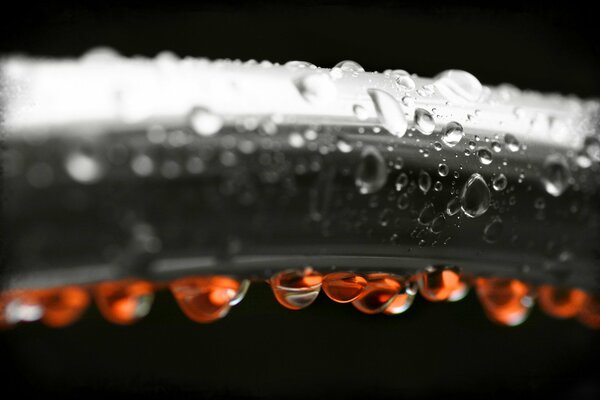 Gouttes rouges sur une photo en noir et blanc