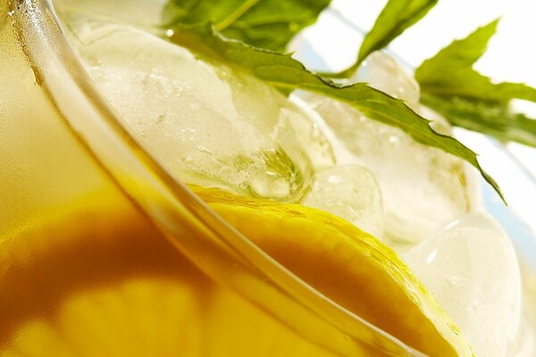 Drink with a slice of lemon, ice and a sprig of mint