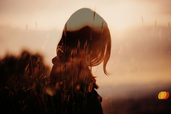 Composition photo: une fille dans un champ sur un fond de coucher de soleil