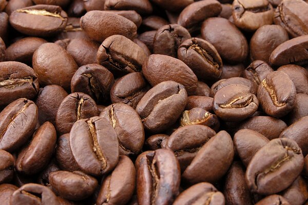 Roasted coffee beans close-up