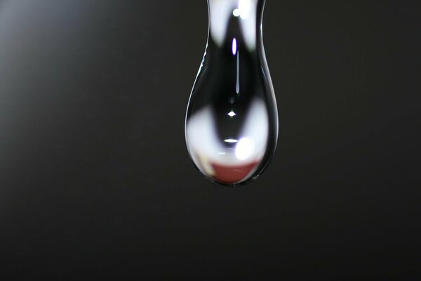 Macro shooting of a falling drop of water