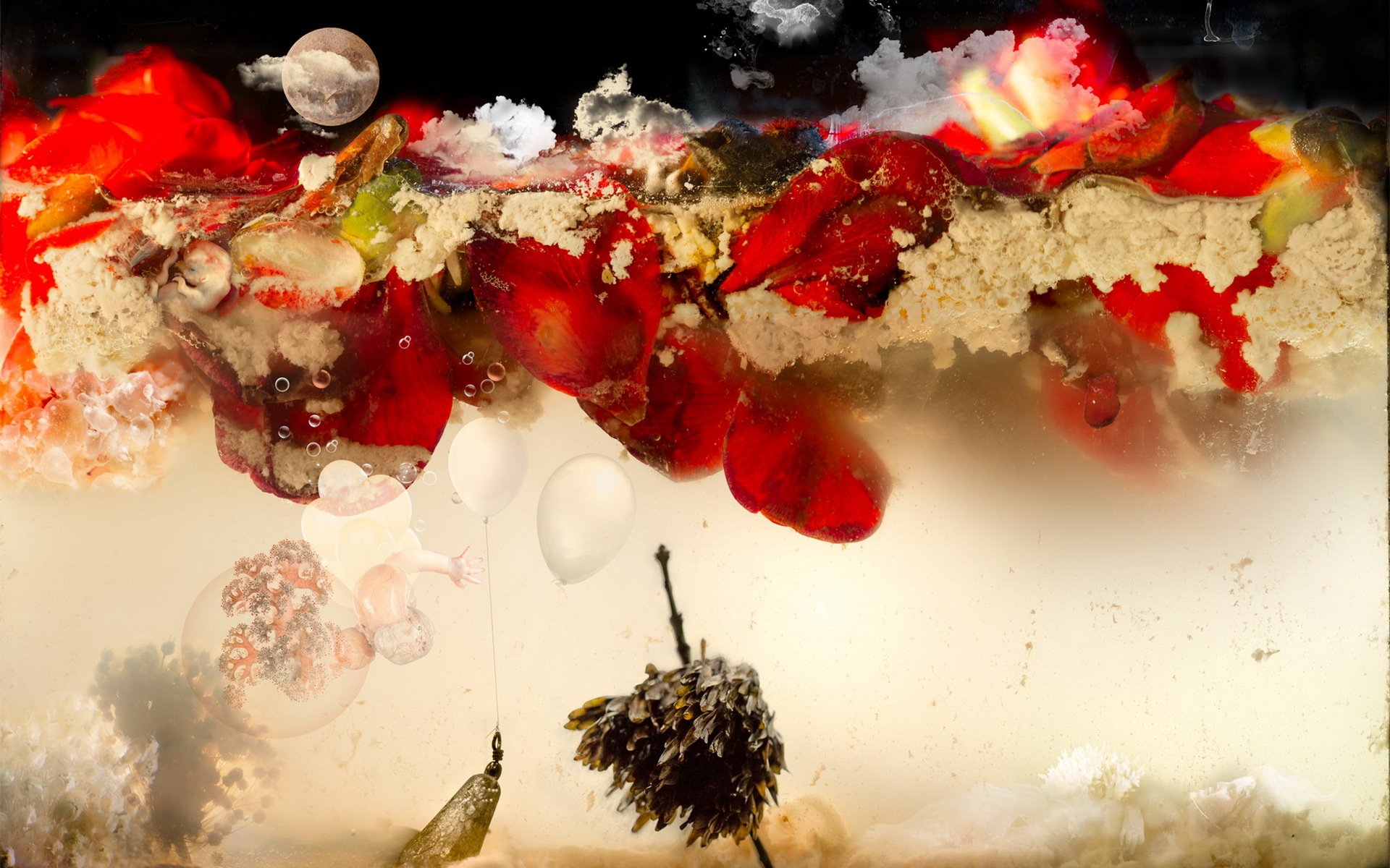 aquarium eau fleurs rouge lune