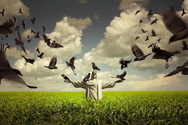 Statue sur le terrain avec des oiseaux dans le ciel