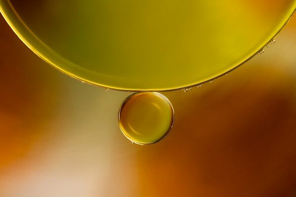 Gocce di olio sull acqua