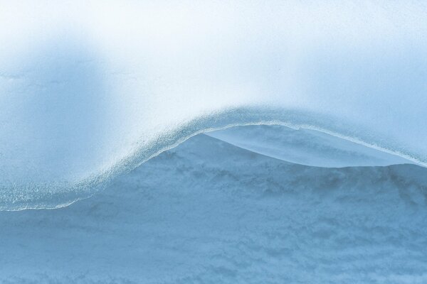 Fondo de color con patrón de nieve