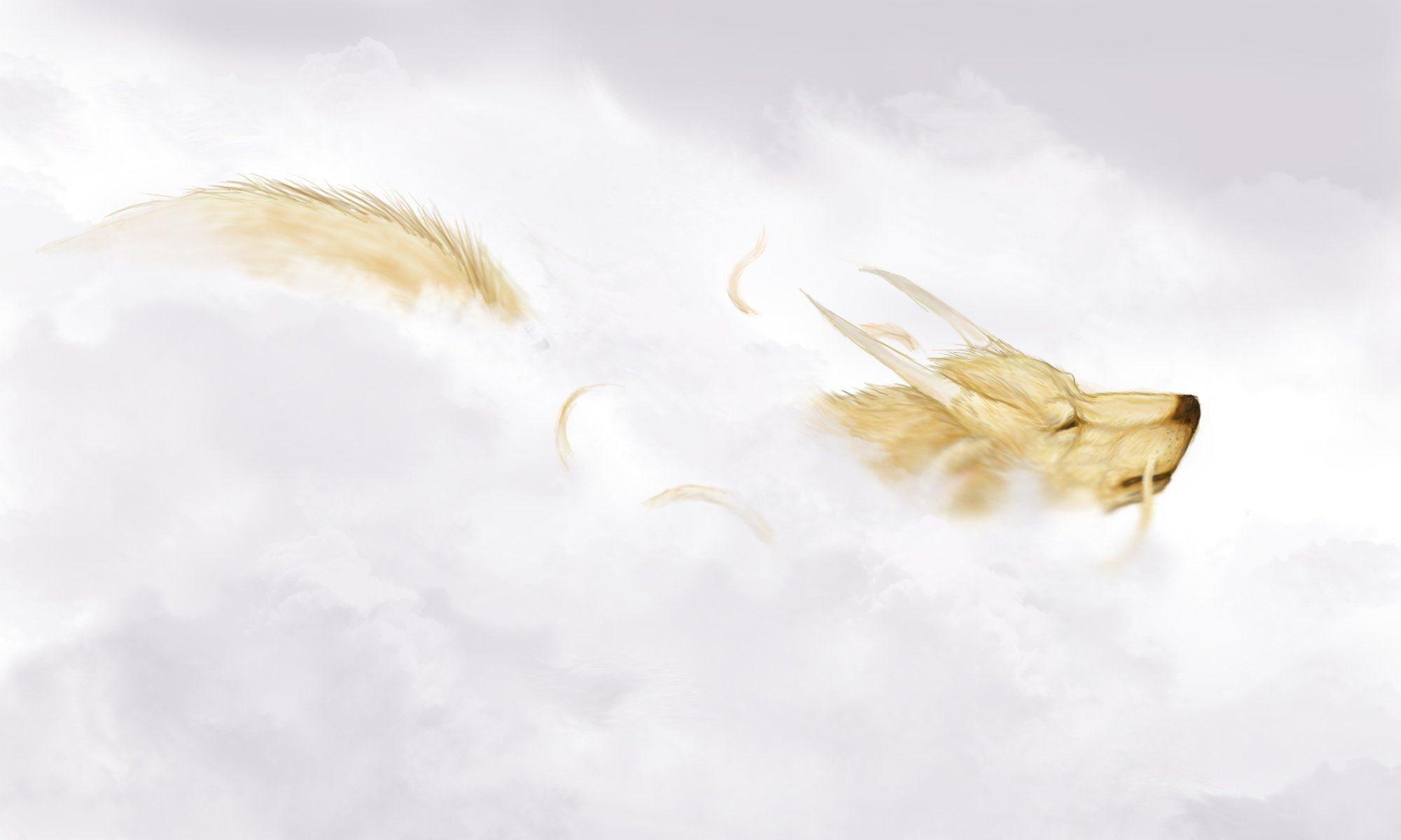 dessin ciel nuages dragon cornes asiatique