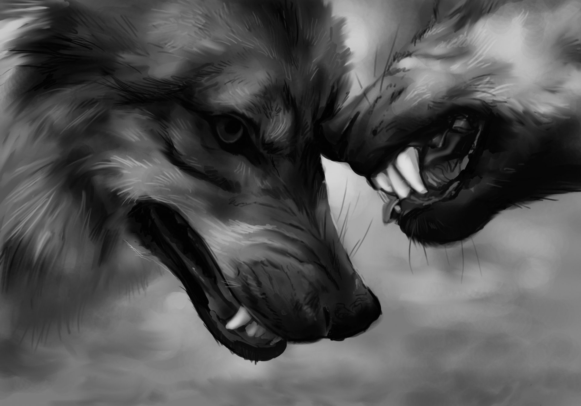 wolves fangs aggression strength power