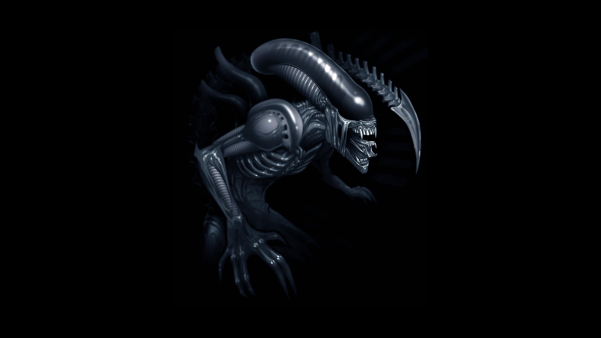 alien xenomorph alien xénomorphe art art