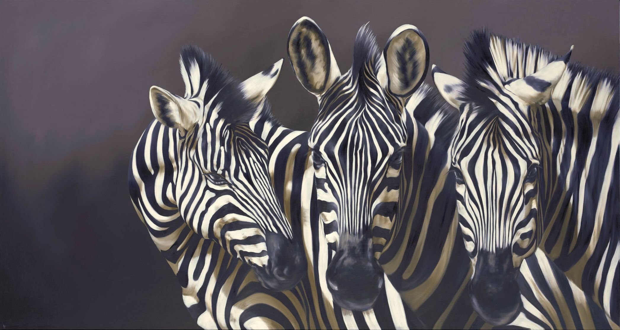 pattern art robina yasmin animals zebra strips of the muzzle background