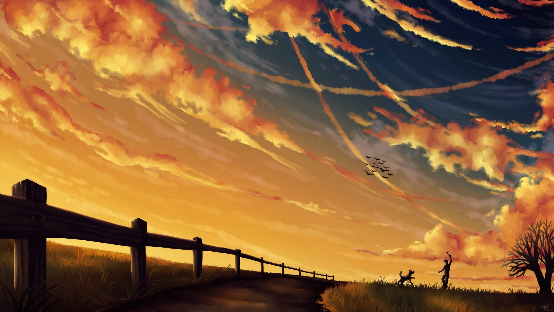 art night landscape dog guy stick game sky clouds track fence bird