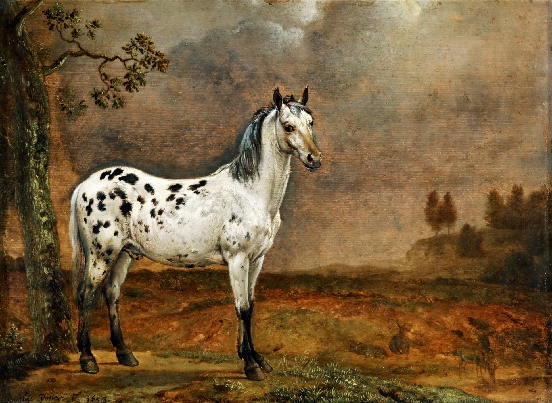 spotted horse paulus potter holenderski malarz obraz olej na płótnie