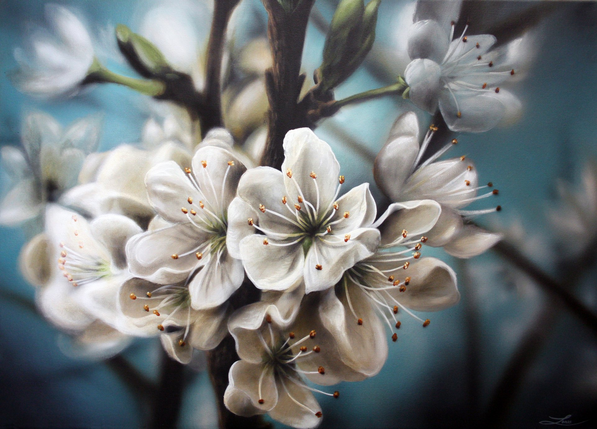 painting nature flowers white branches bloom apple