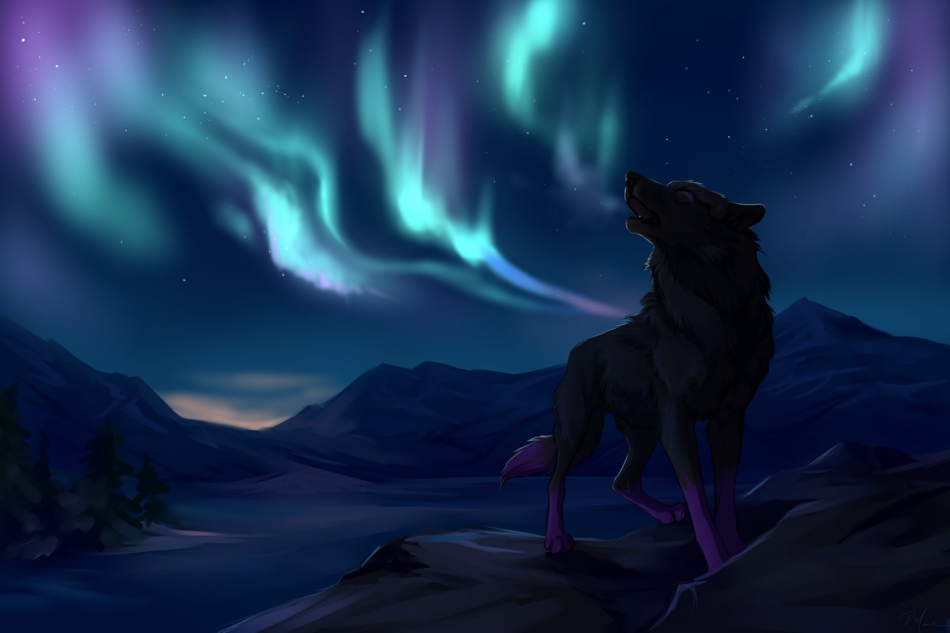 lupo aurora boreale montagne alberi