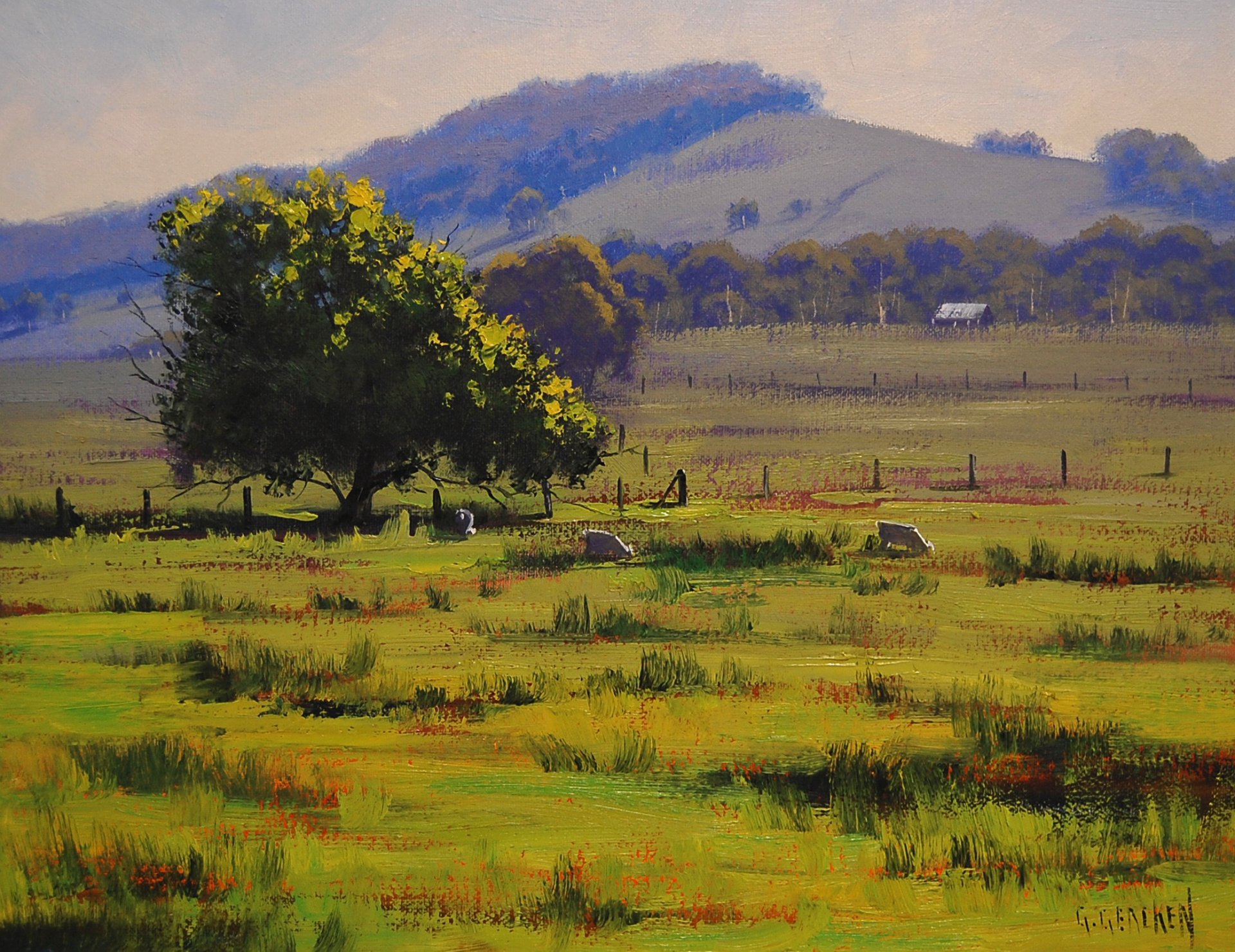 kunst zeichnung baum hunter valley landschaft artsau