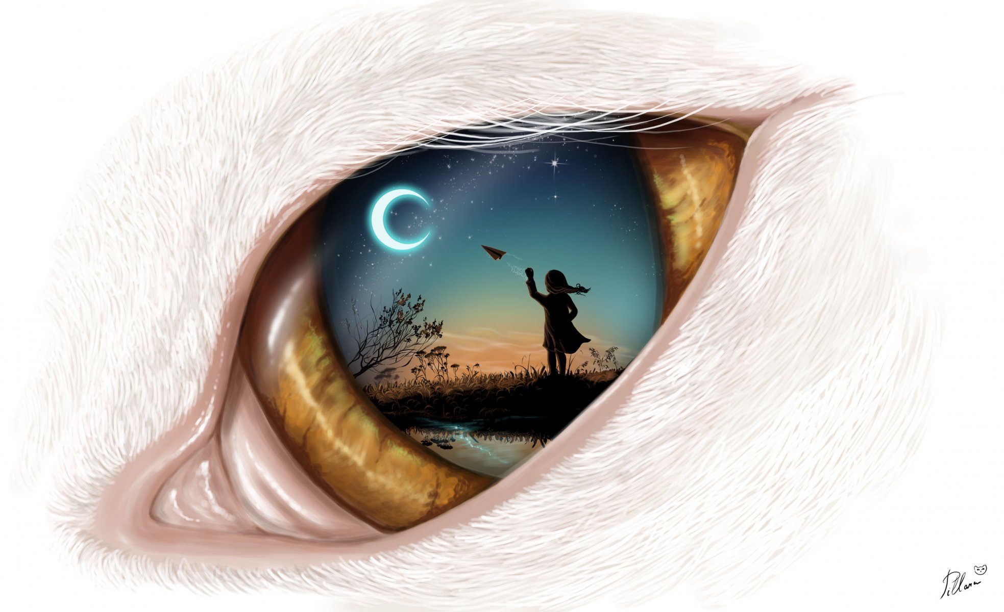 art cat s eye night moon sky