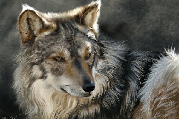 Beautiful muzzle of a predatory wolf