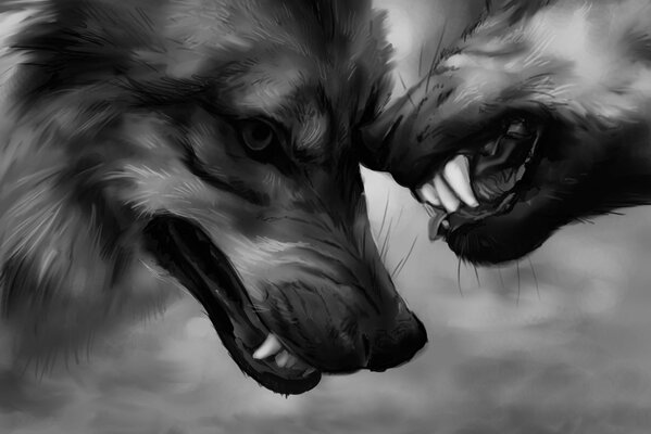 Два волка ощерили друг на друга клыкастые пасти