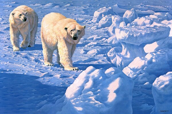 Polar bears on ice in winter