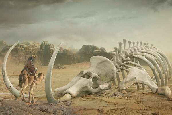 A Bedouin on a camel stands by a giant mammoth skeleton