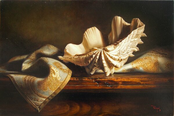 Still life with a seashell and a napkin