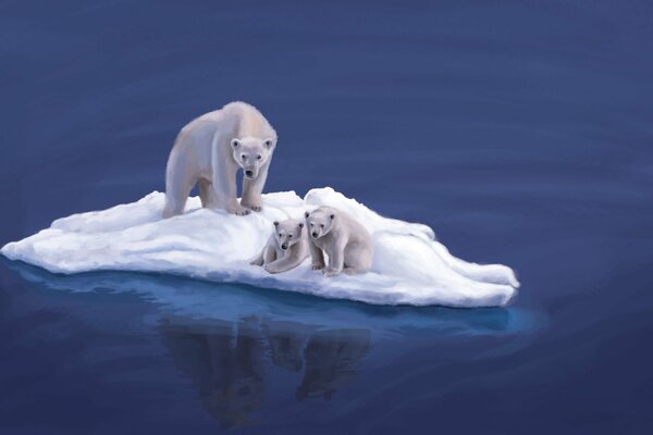 A bear with cubs on an ice floe