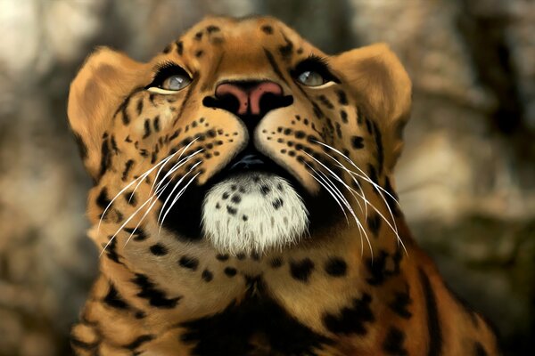 Leopard. Art art. Predatory kitty