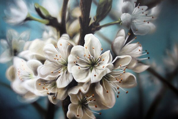 Picture of a branch of a flowering apple tree