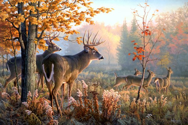 Deer in the autumn forest