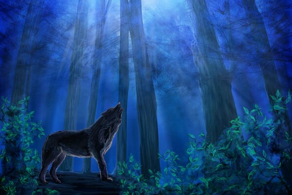 Графическое изображение волка в лесу