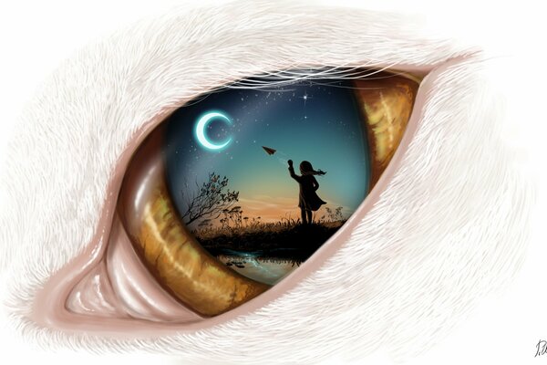 Arte ojo de gato noche Luna cielo chica