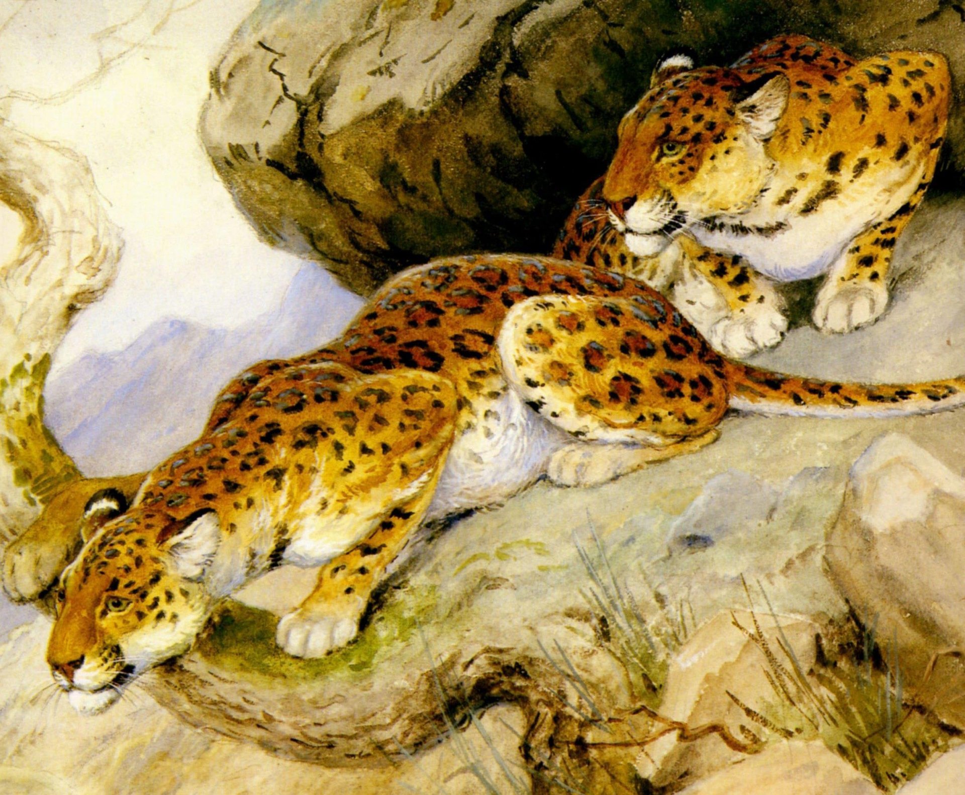 georges-frederic rotig art painting leopards predator