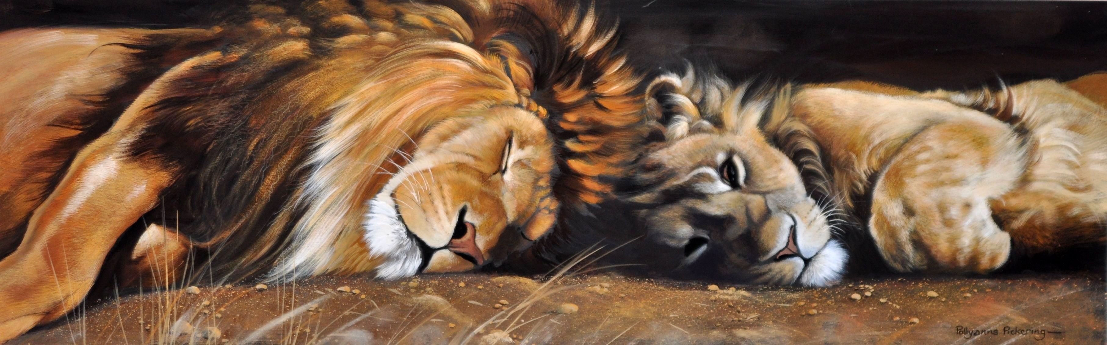 pittura arte pollyanna pickering leone leonessa criniera animali gatti selvaggio predatori sonno