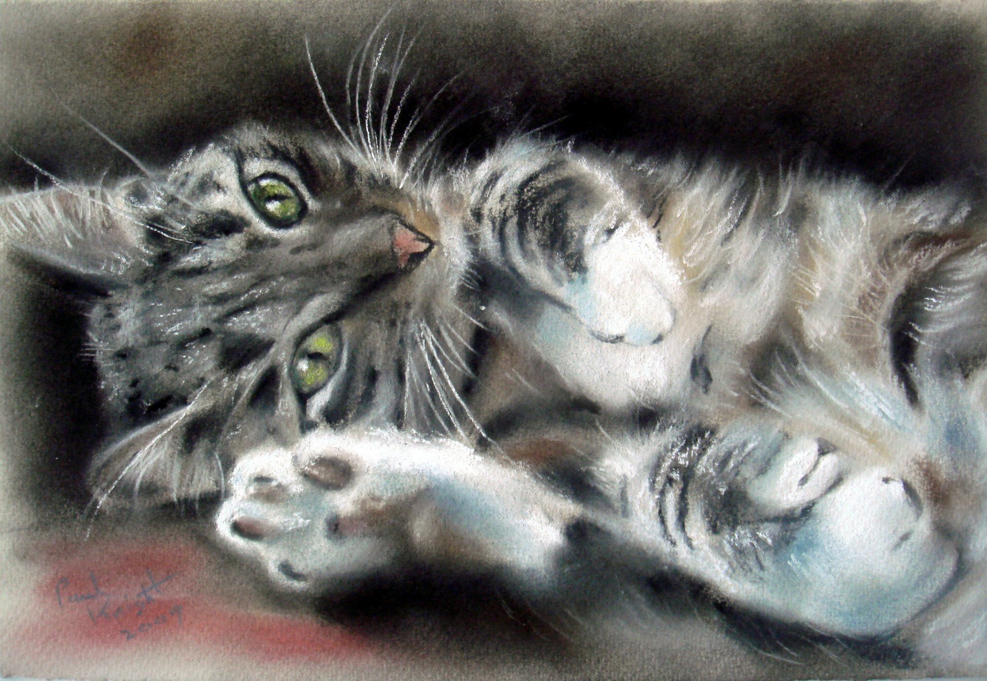 pintura gato animal hocico mirada ojos verdes patas bigote orejas