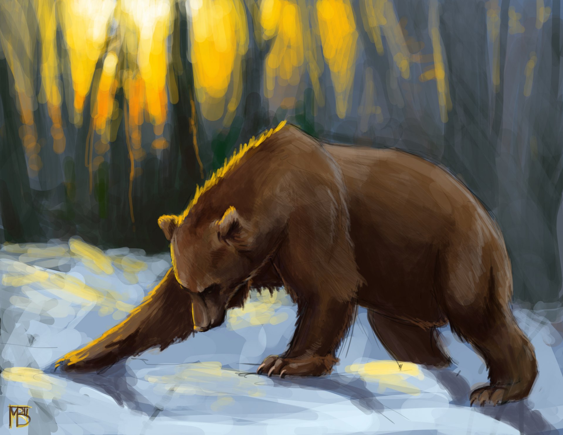 art brown bear bear forest snow sunset sun ray