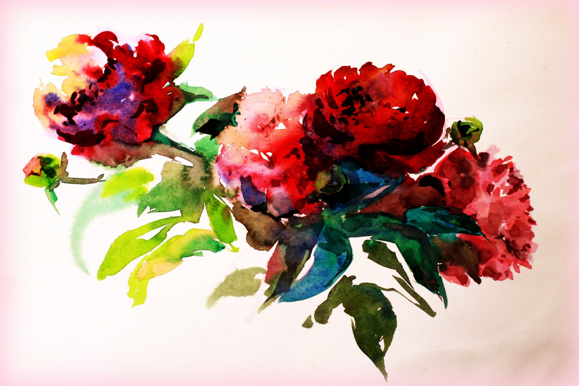 aquarell malerei zeichnung farben blumen kreativität zeichnung papier