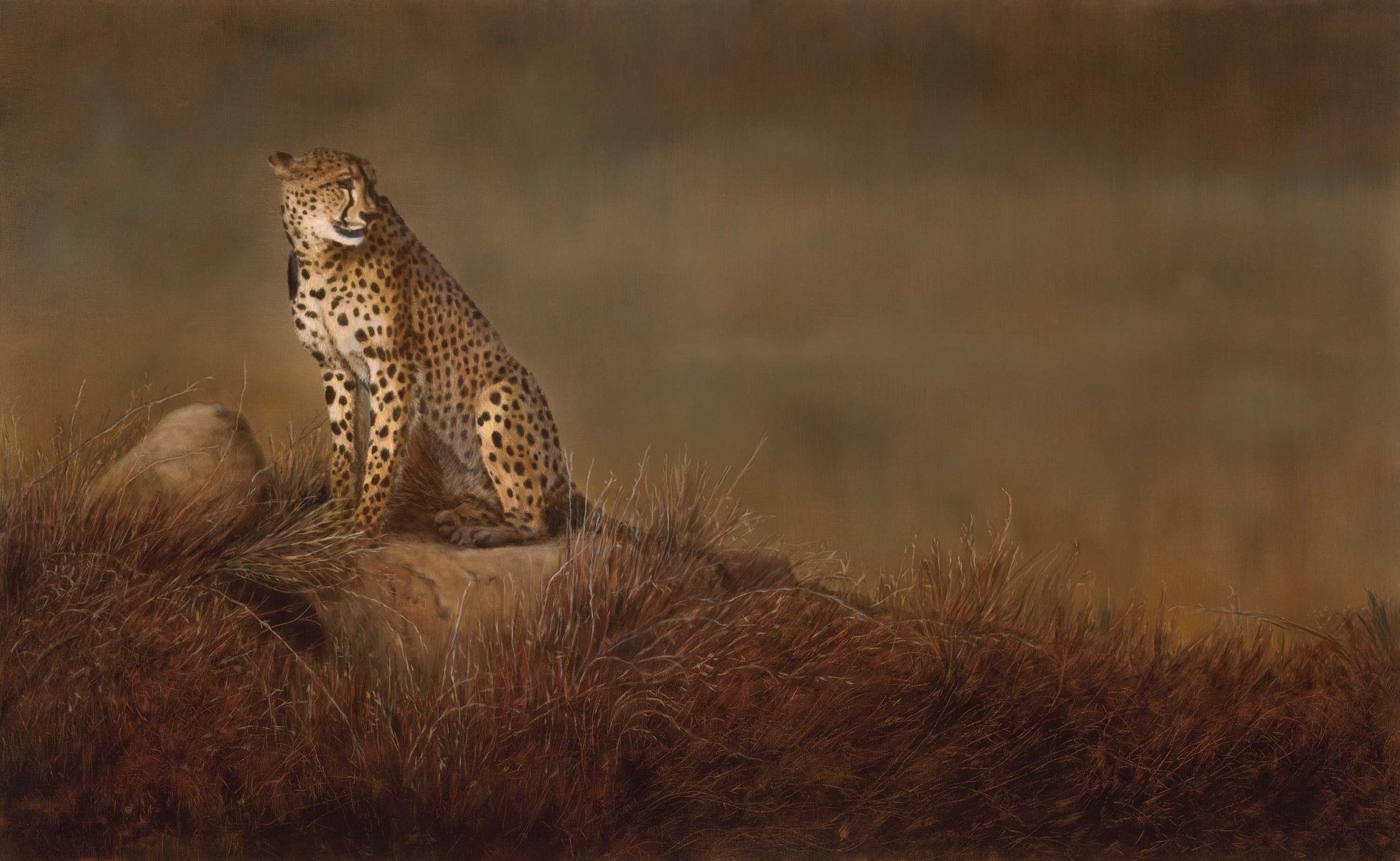 peinture art linda schröter guépard chat sauvage savane pierres herbe fond