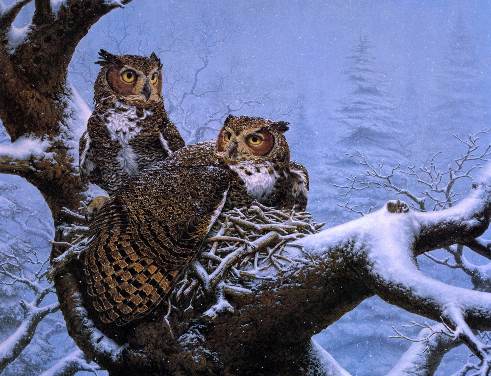 lee kromschroeder february nest painting winter tree nest owls owl snow spruce