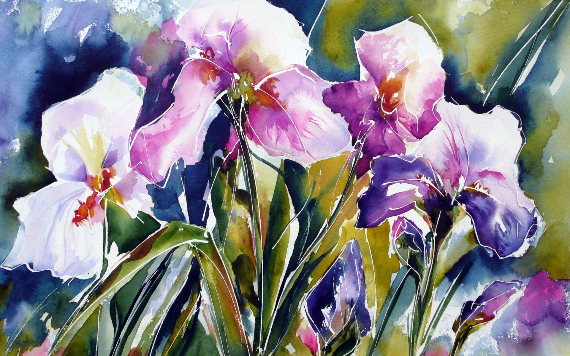 iris blumen aquarell