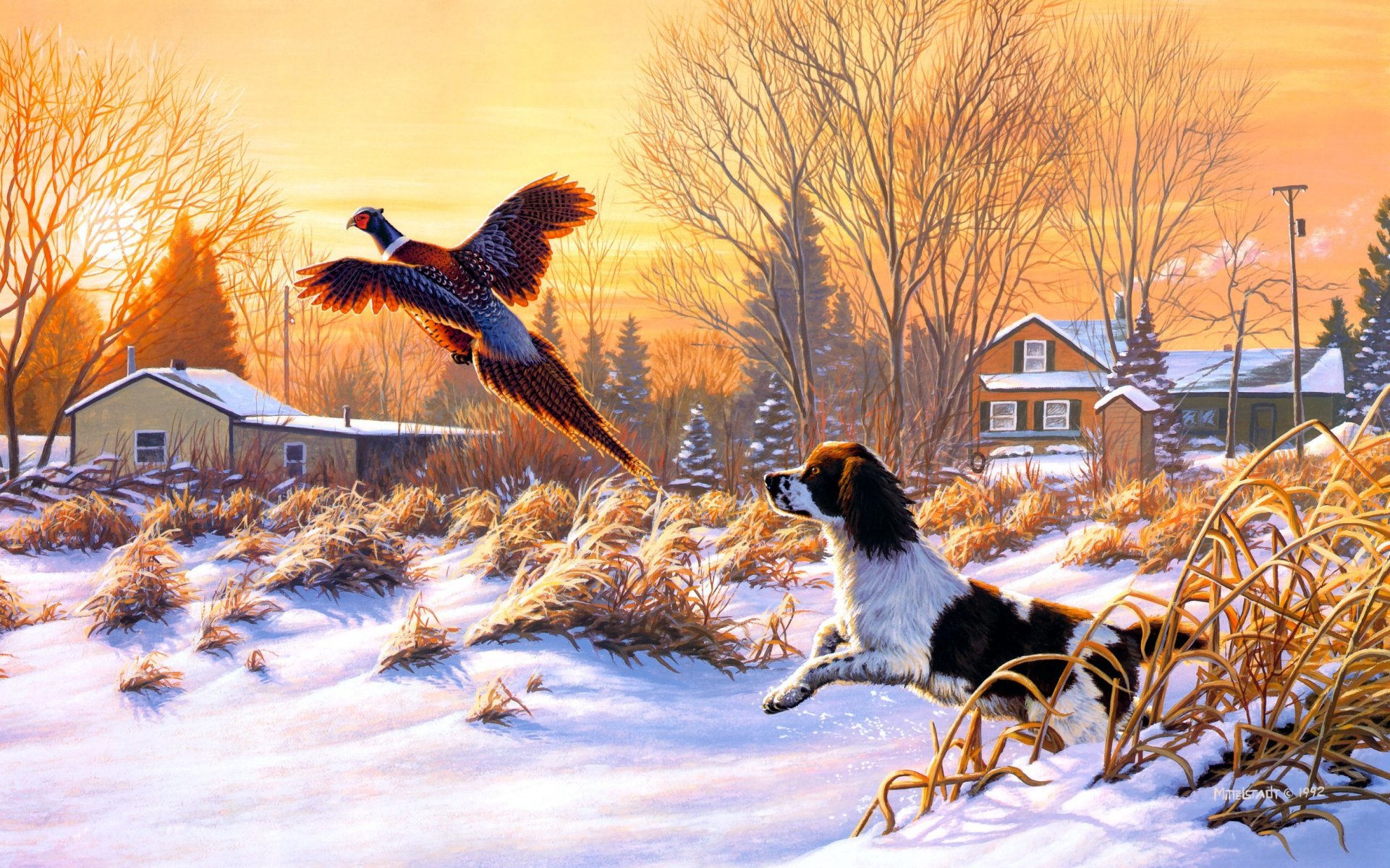 frank mittelstadt getting up arte natura inverno neve caccia cane uccello volare alba pittura