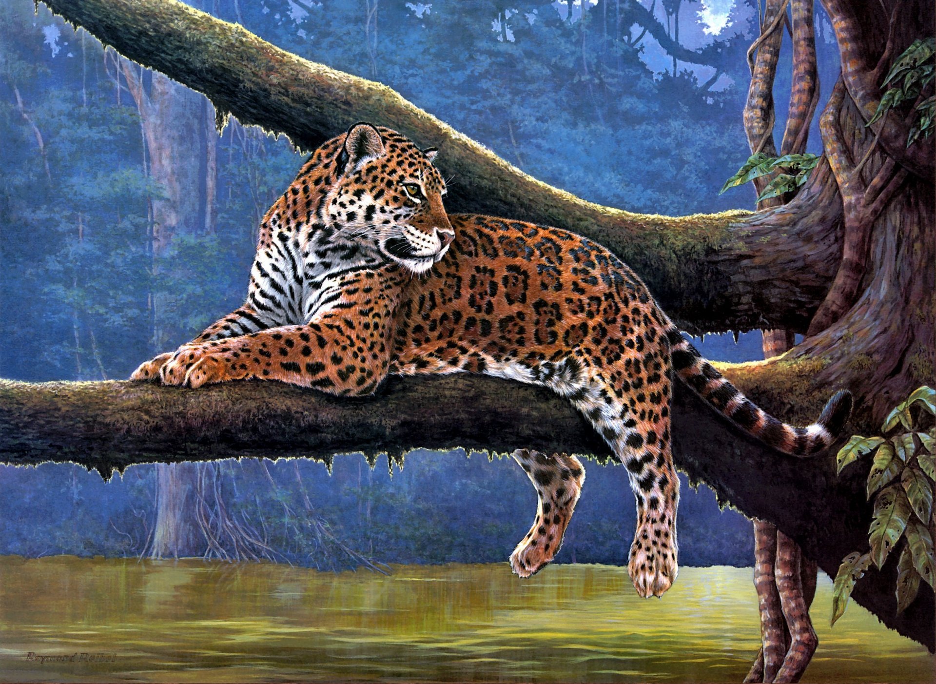 raymond reibel jaguar pittura animali giaguaro fiume ramo albero rampicanti