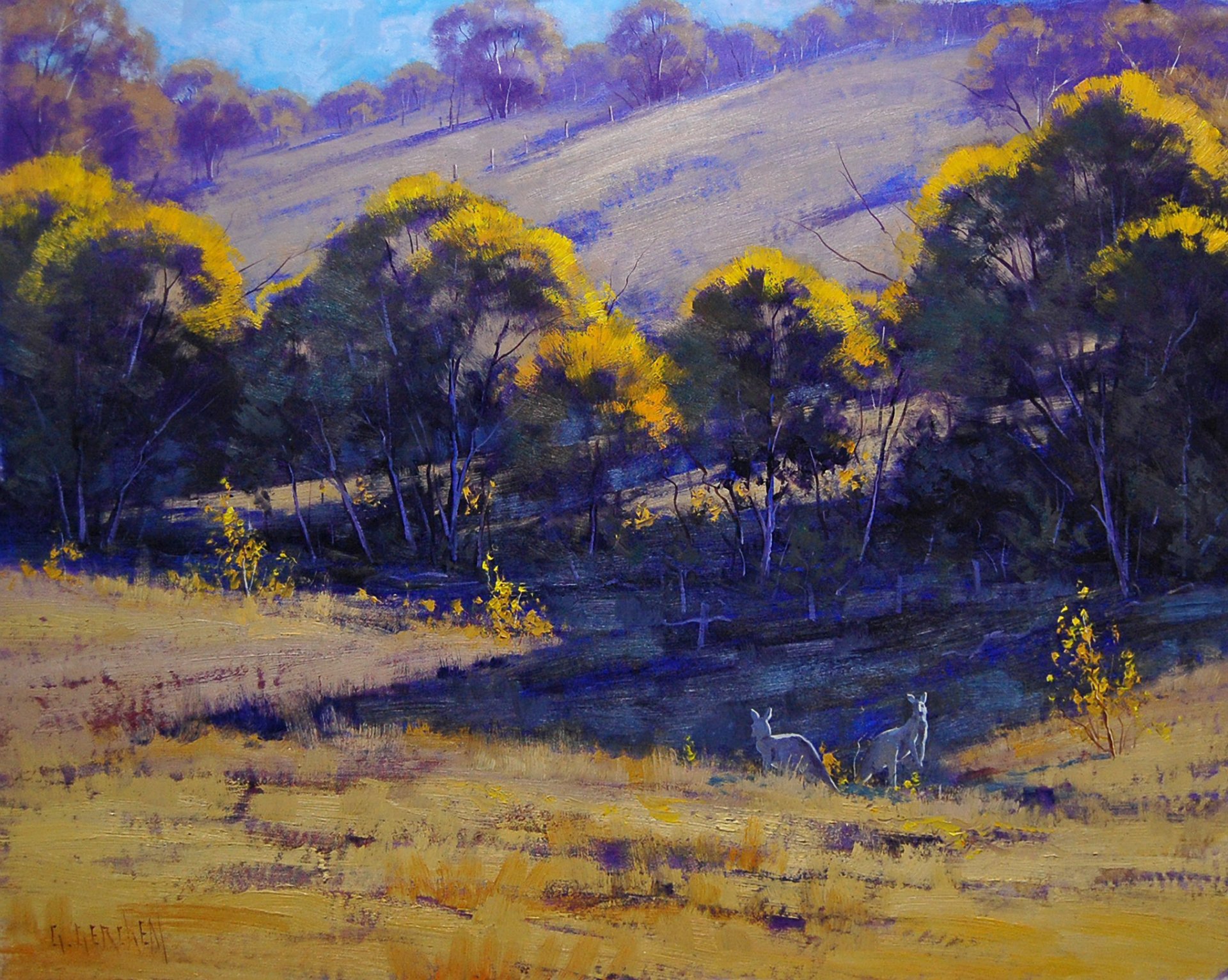 arte artsaus natura australia canguri alberi erba colline