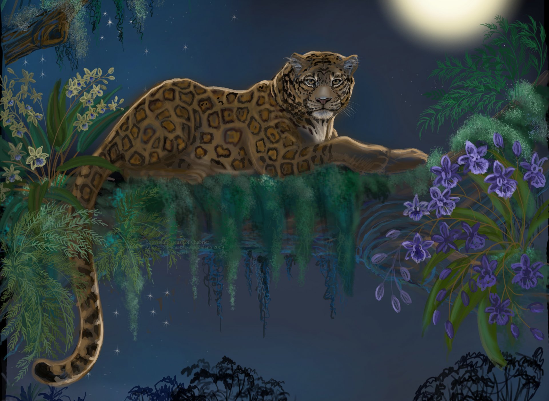 arte leopardo animal depredador vista cola árbol flores hojas mentiras noche luna