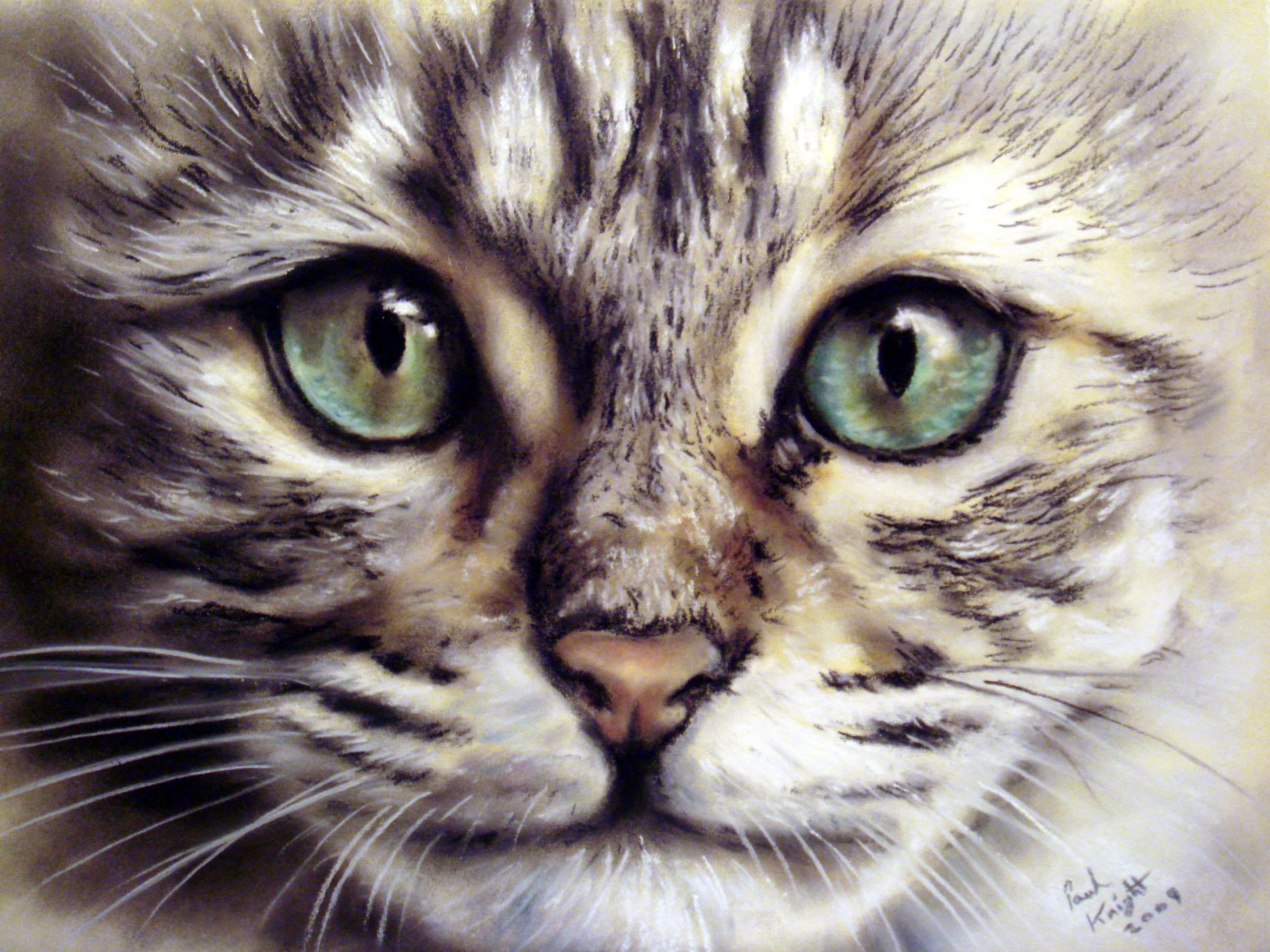 pintura gato hocico mirada bigote animal