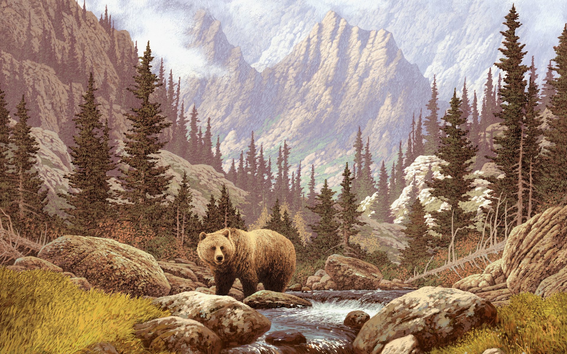 immagine pittura orso foresta montagne fiume pietre erba