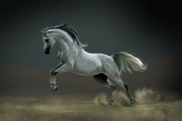 A white horse with a beautiful mane